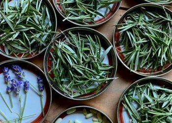 natuurlijke middelen