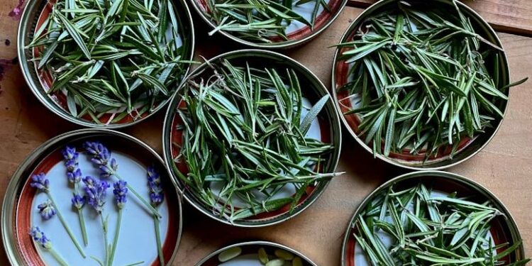 natuurlijke middelen