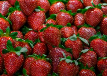 bestrijdingsmiddelen in aardbeien