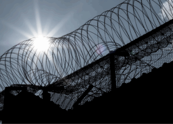 kroongetuige Nabil B.