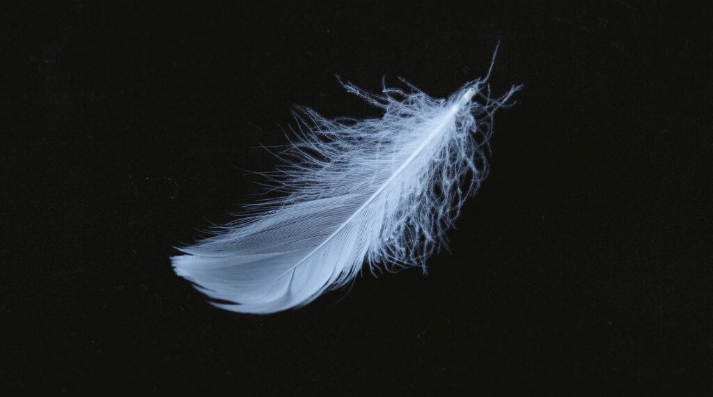 overleden dierbare tekenen