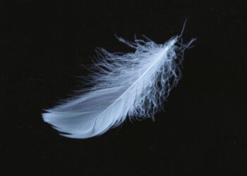 overleden dierbare tekenen