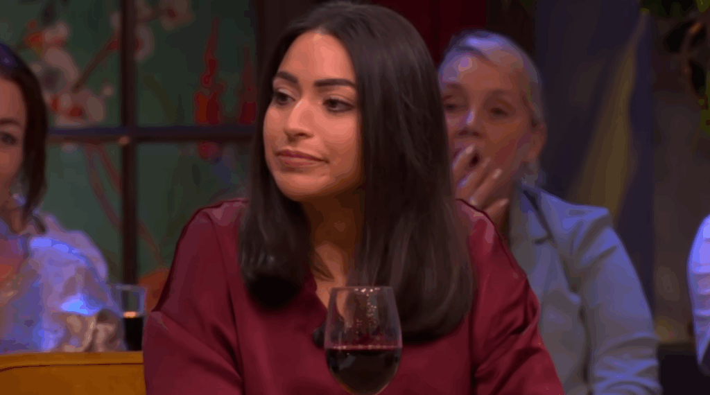 Lale Gül Geert Wilders clash