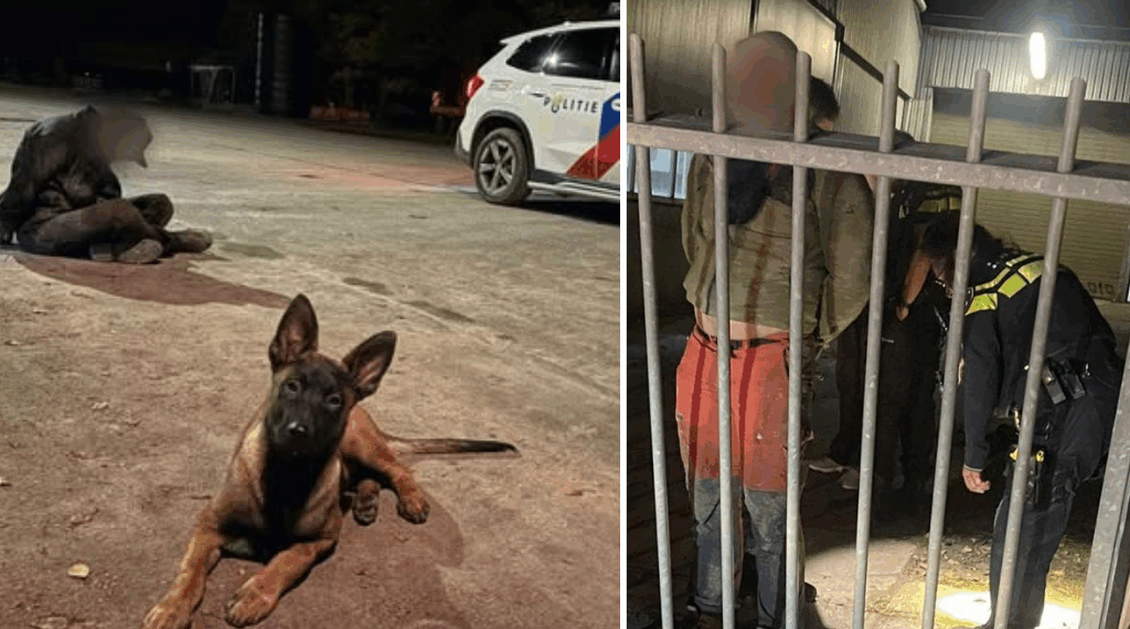 boeren Noordoostpolder