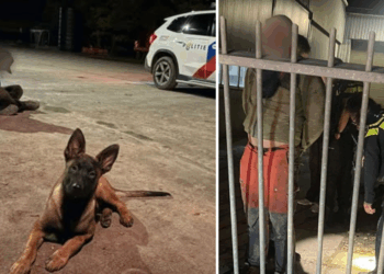 boeren Noordoostpolder