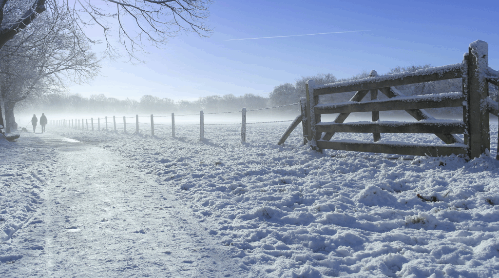 Extreem koude winters