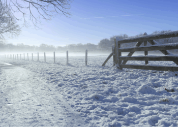 Extreem koude winters