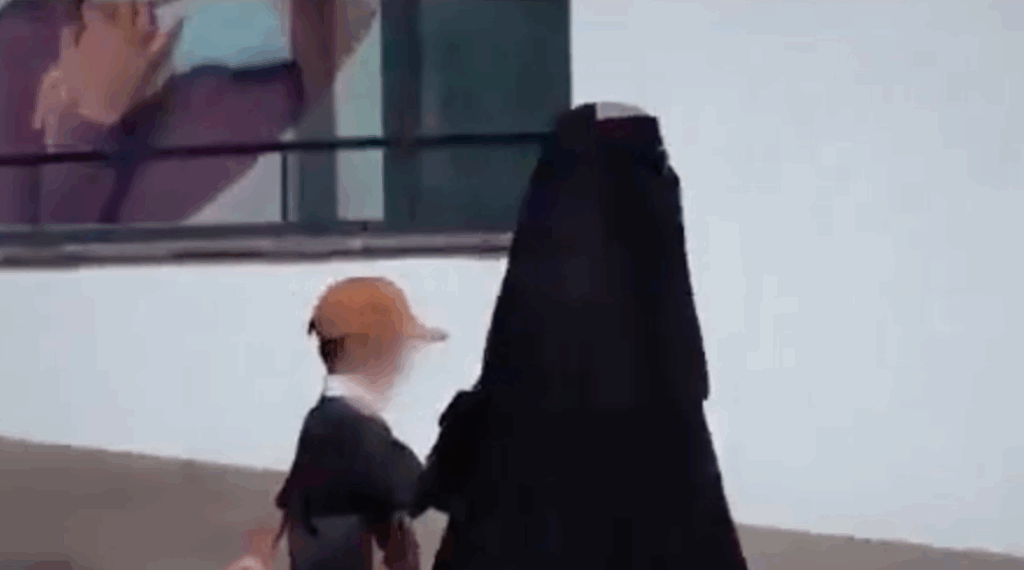 Oostenrijks boerkaverbod