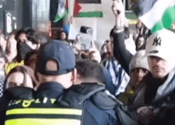 pro-Palestijnse demonstratie