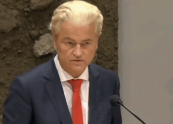 PVV groei