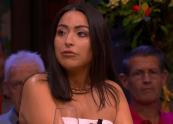 sinterklaas knuffelbeest