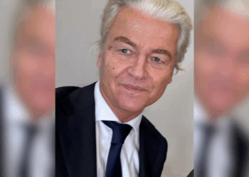 mandaat Geert Wilders