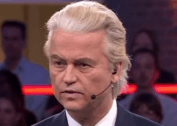 Nederlandse stemproces