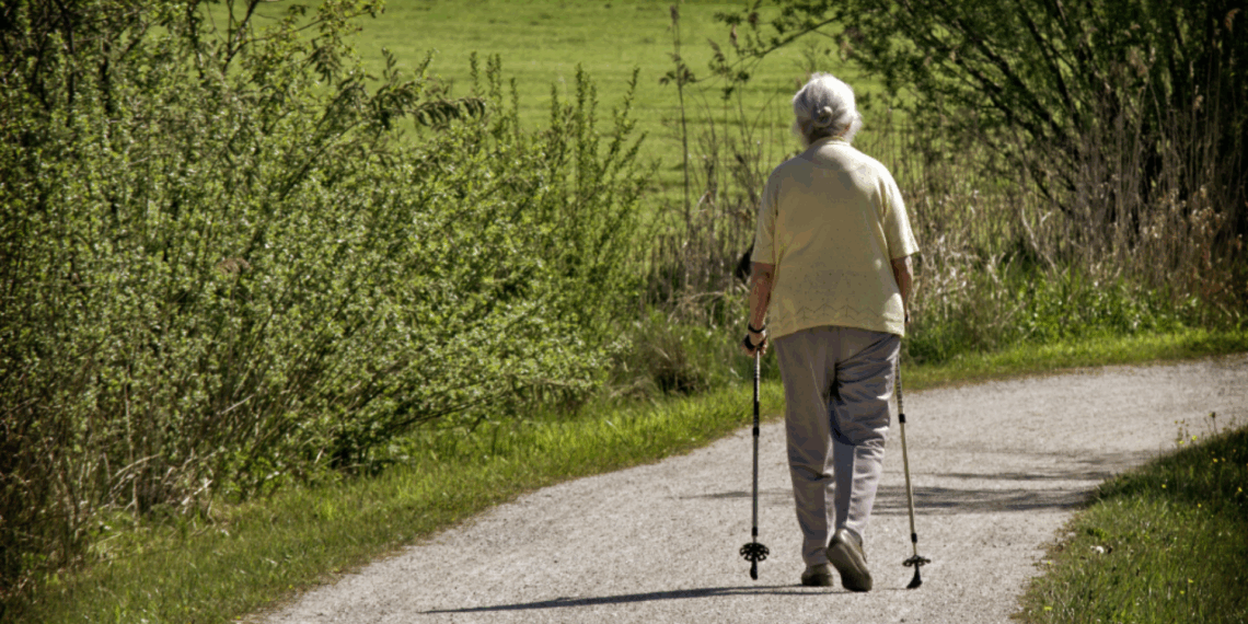 nieuwe pensioenstelsel