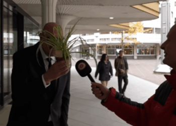 pvv zorgt voor ophef