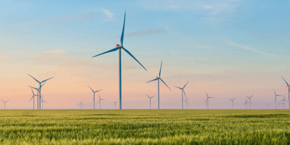 video boer windmolen