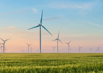 video boer windmolen