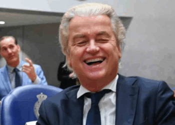 Wilders op X