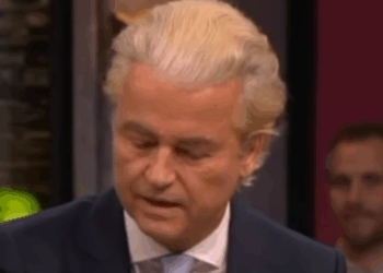 Wilders reageert woest