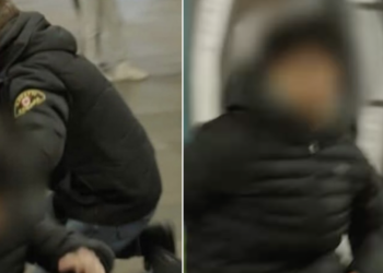 boa’s en agressie in ov